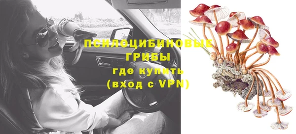 твердый Богданович