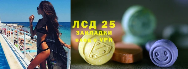 твердый Богданович