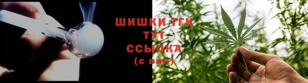 твердый Богданович