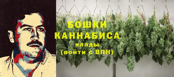 твердый Богданович