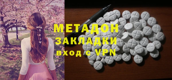 хмурый Бикин