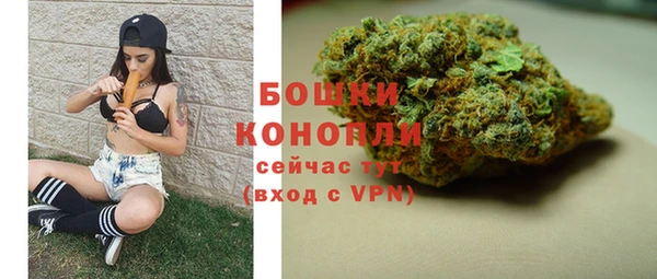 ГАЛЛЮЦИНОГЕННЫЕ ГРИБЫ Бородино