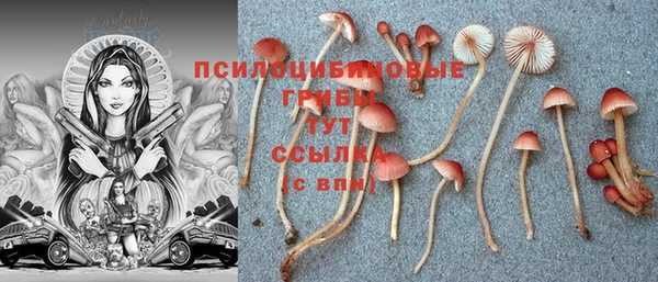 синтетический гашиш Богородск